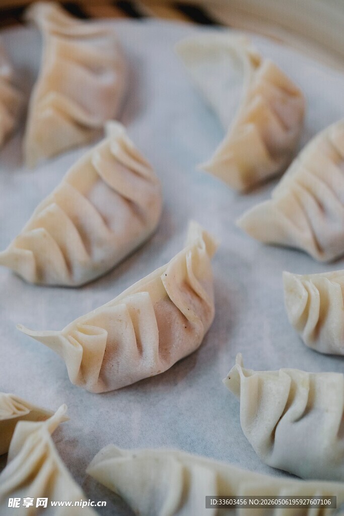手工包制的精致美味饺子