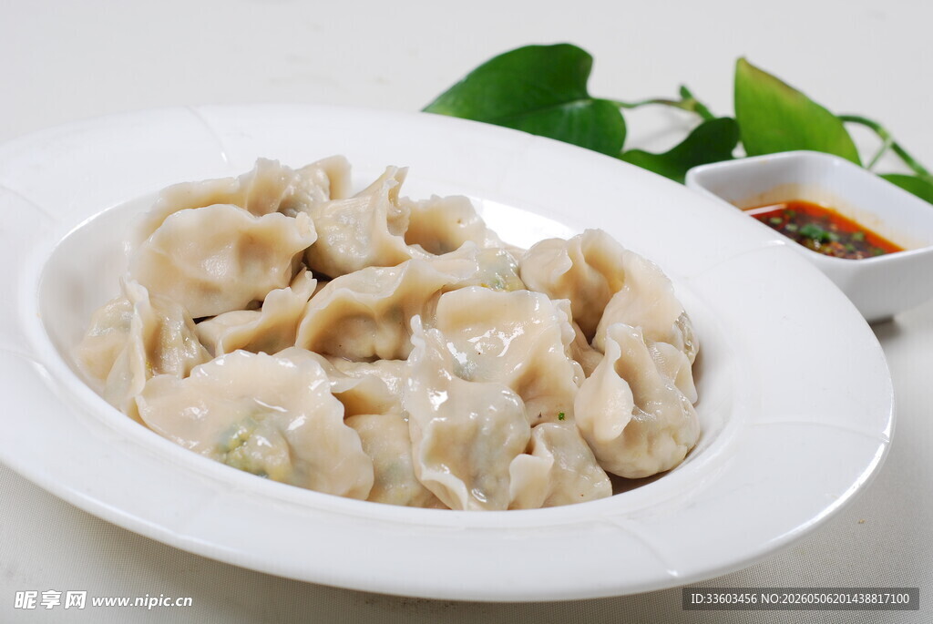 美味饺子摆盘精致