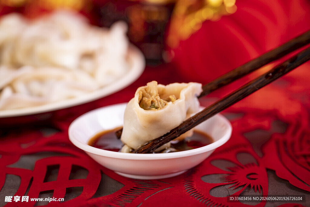 美味饺子特写