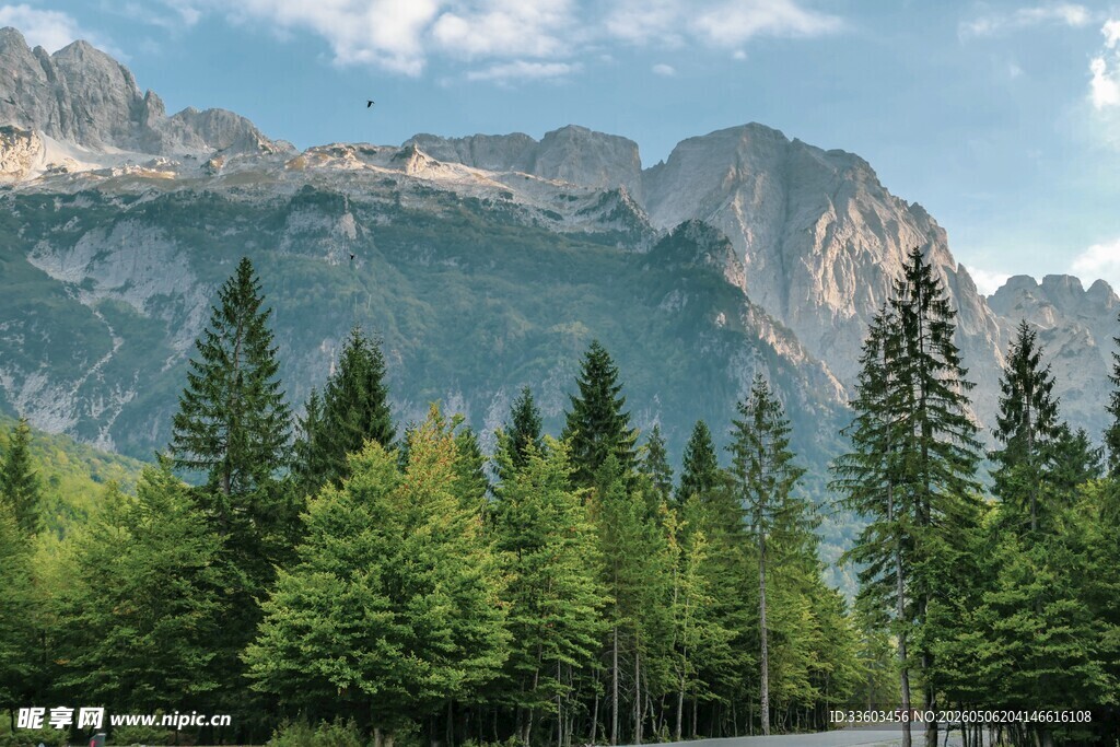 山林美景