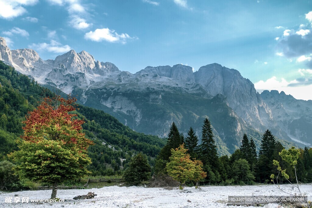 山间雪景与多彩林木景观