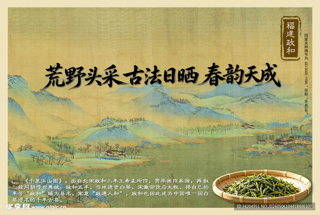 白茶 荒野头采