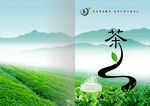 茶叶画册封面
