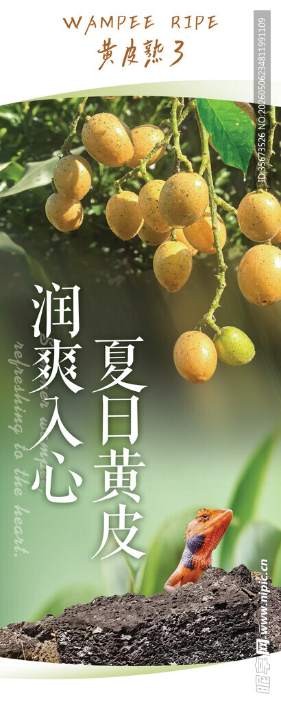 夏日润喉黄皮果