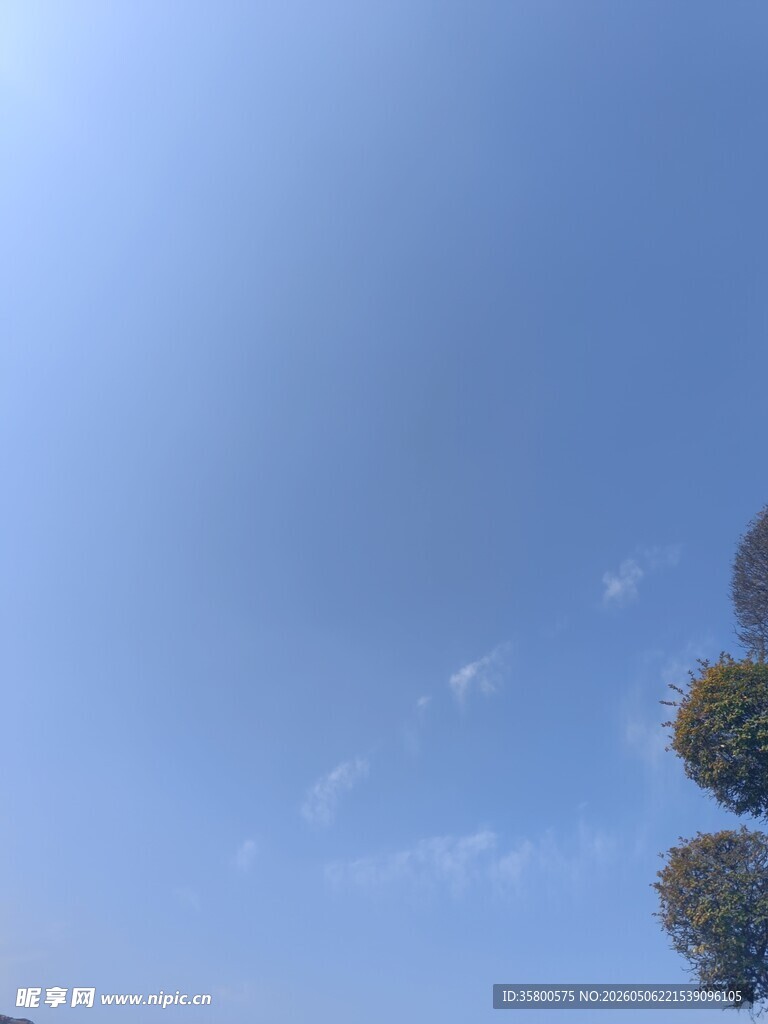 晴朗蓝天与树梢
