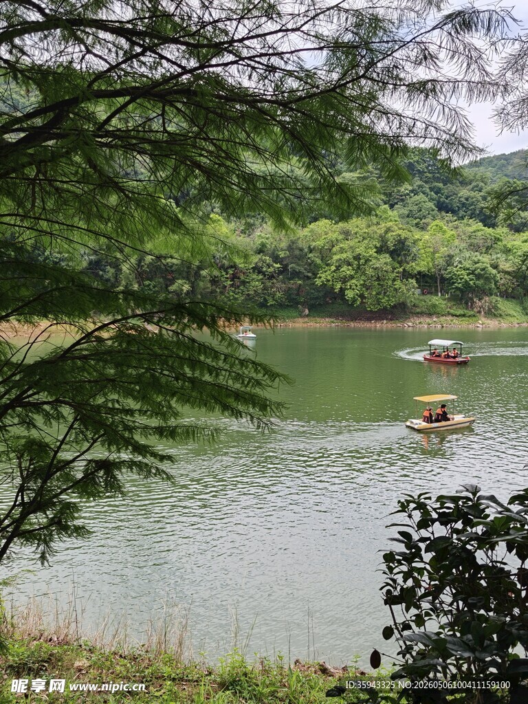 湖畔绿意盎然的宁静风光