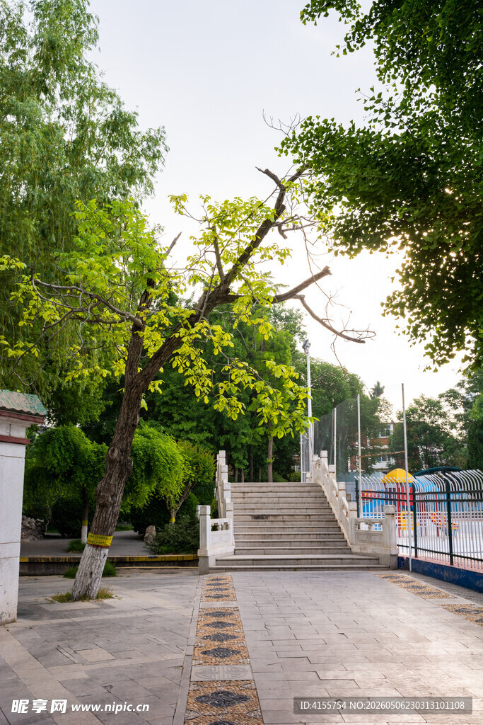 公园林荫下的休闲步道