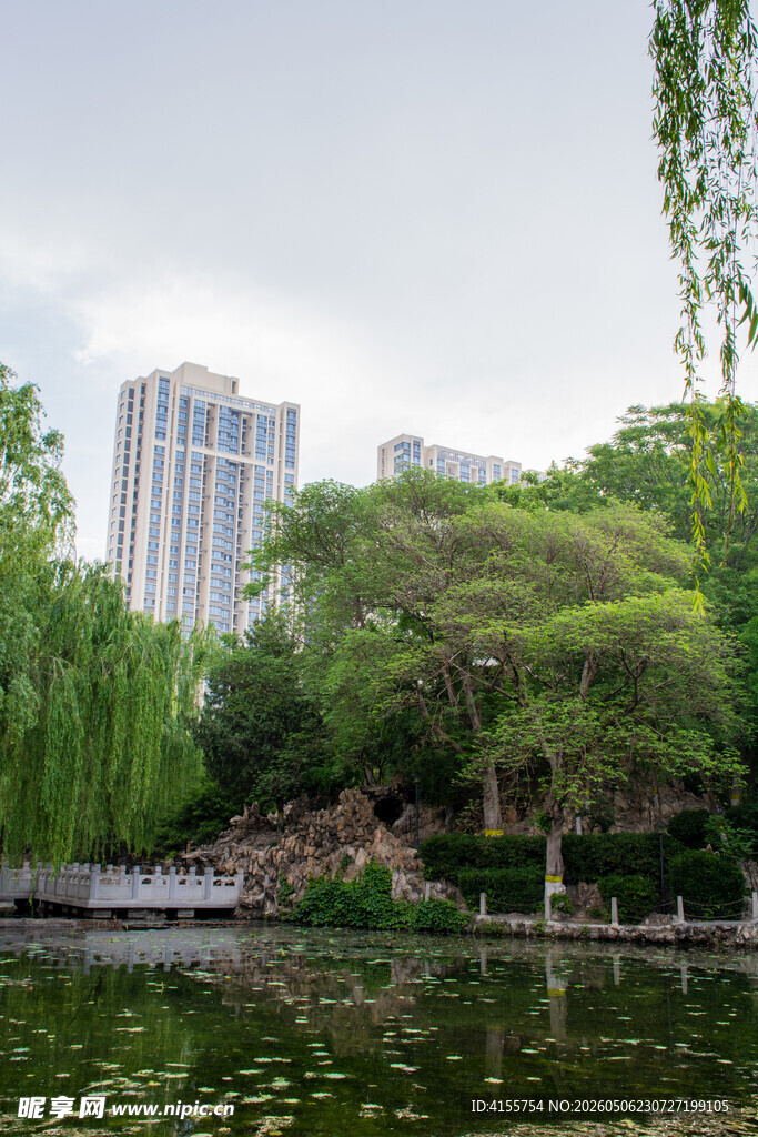 城市湖畔绿树环绕的景致