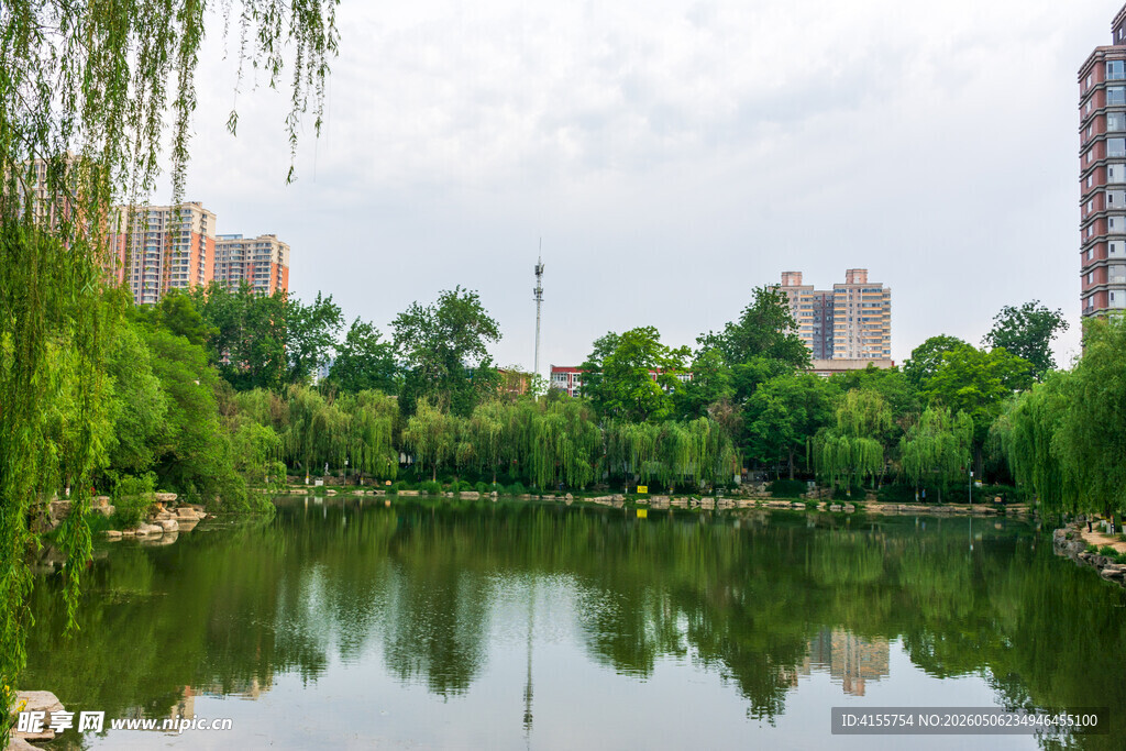 城市湖畔绿意盎然景致