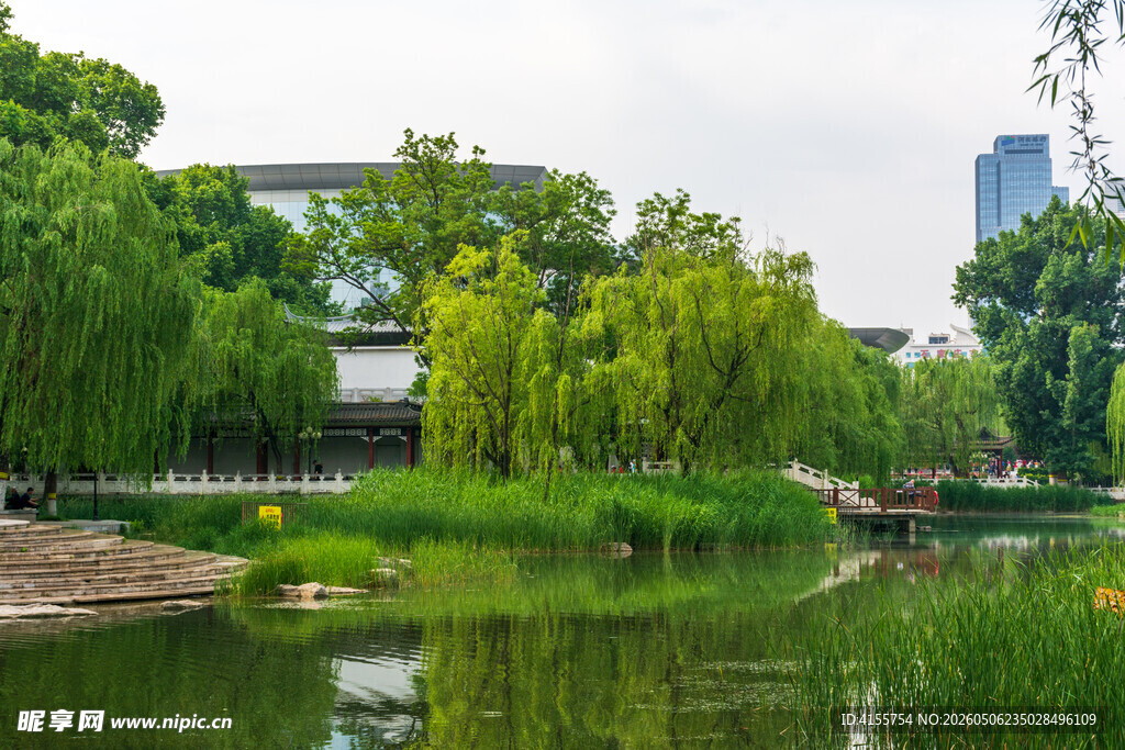 湖畔绿树成荫的城市美景