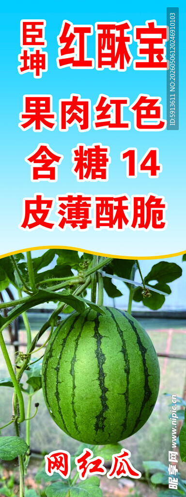 西瓜