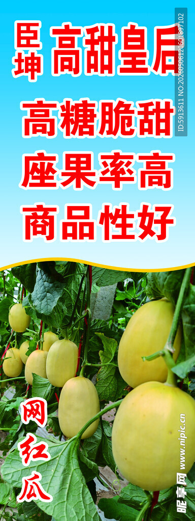 甜瓜