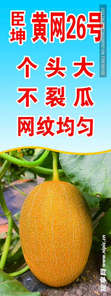 甜瓜