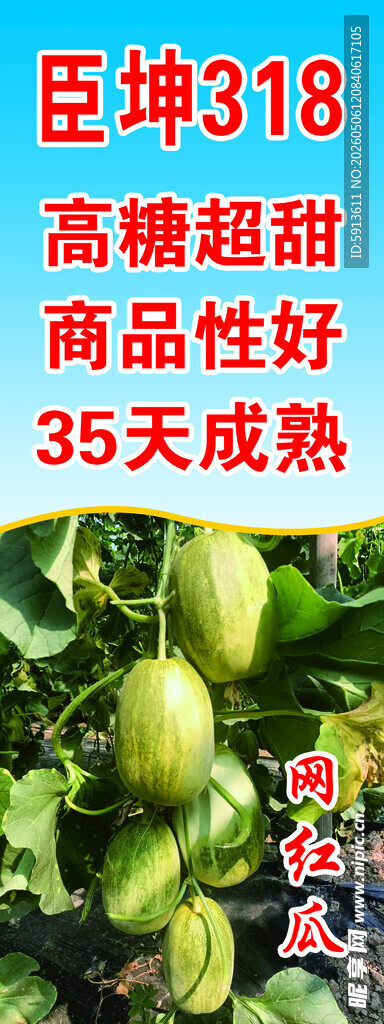 甜瓜