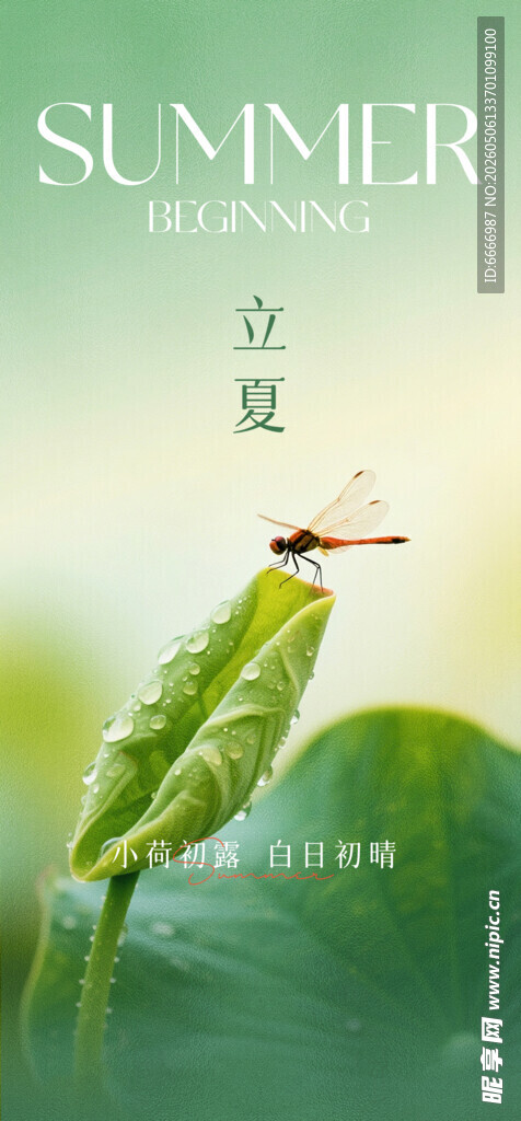 立夏