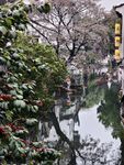 江南水乡静谧小河景致