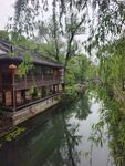 江南水乡静谧河畔景致