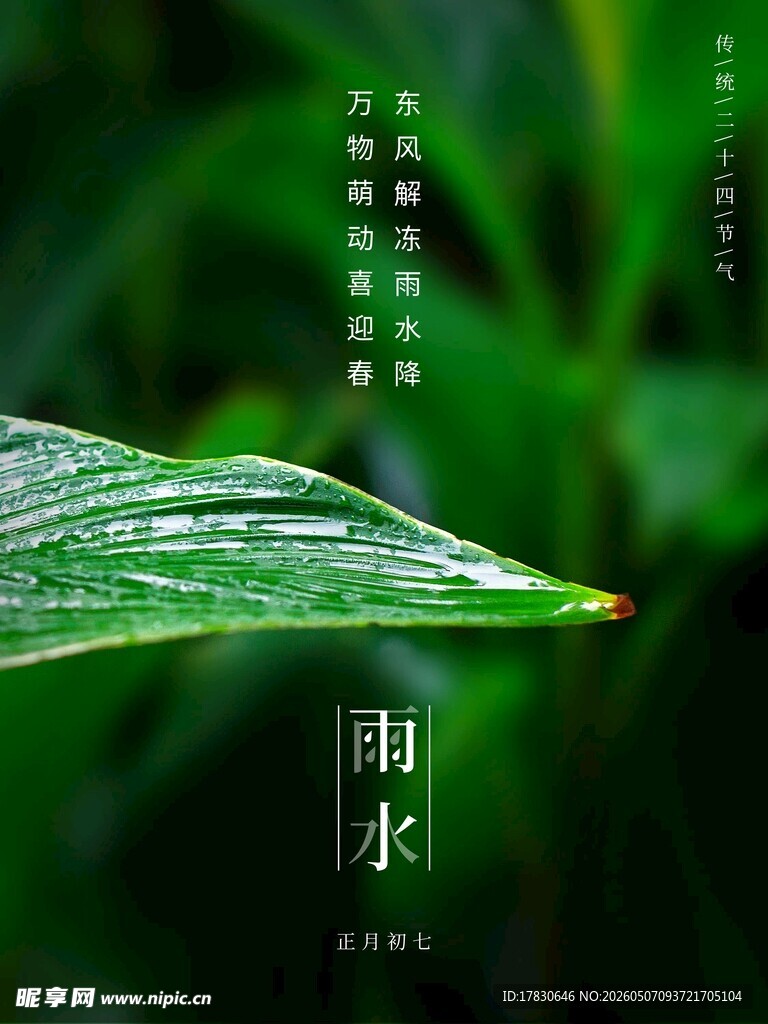 雨水海报