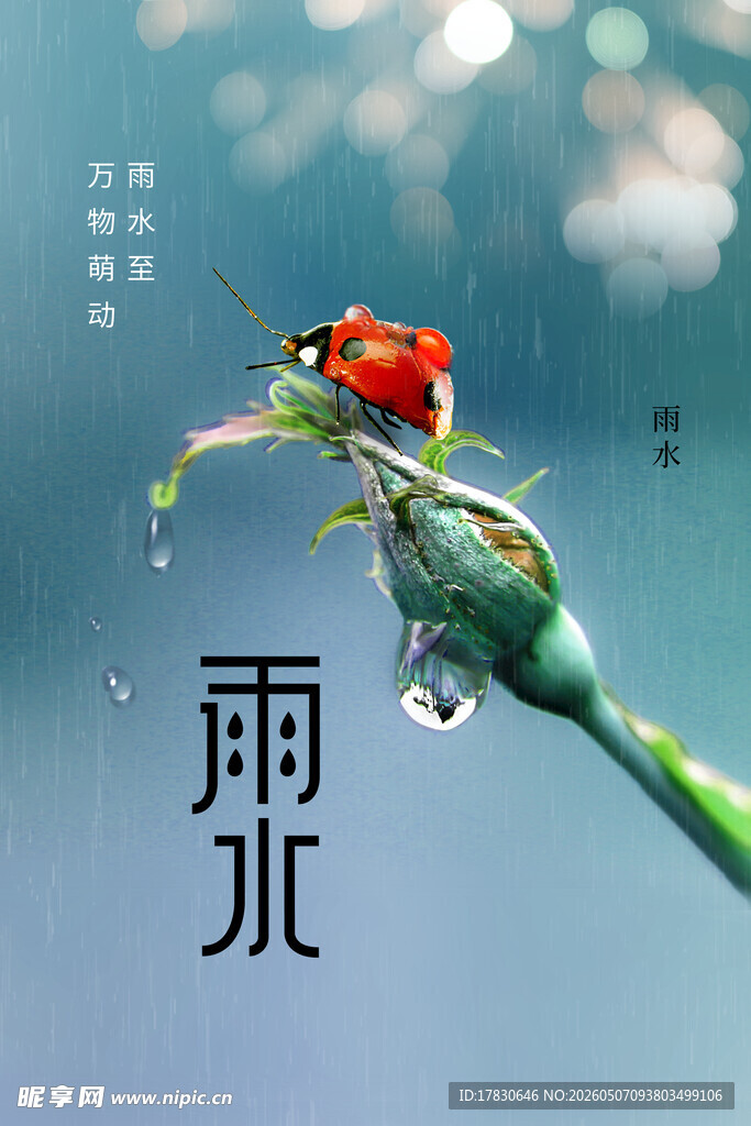 雨水海报