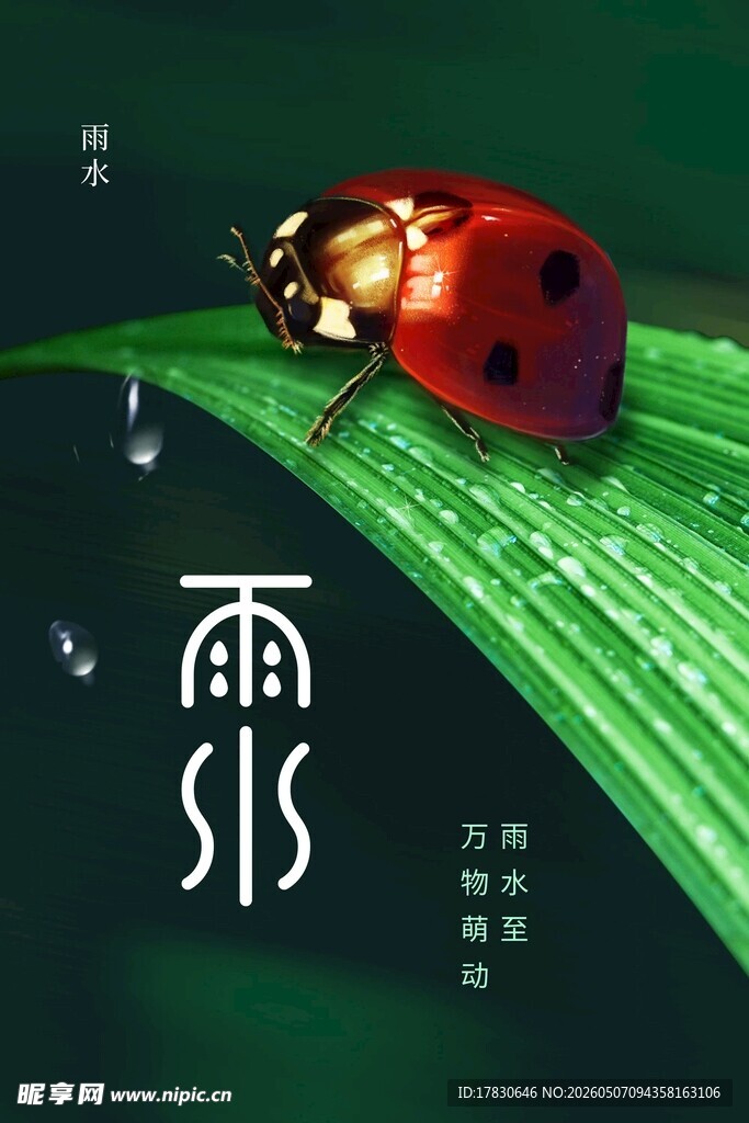雨水海报