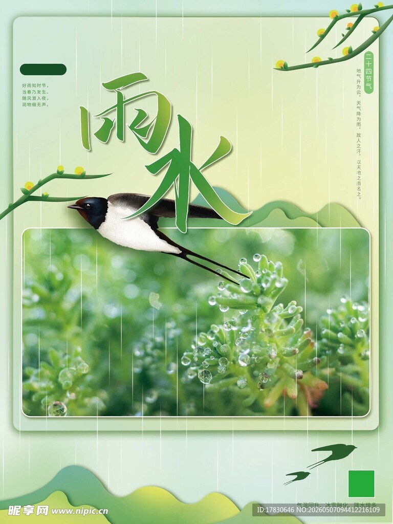 雨水海报