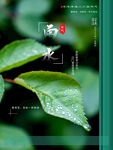 雨水海报