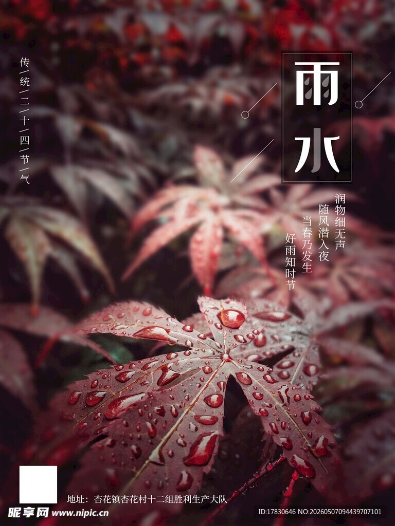 雨水海报