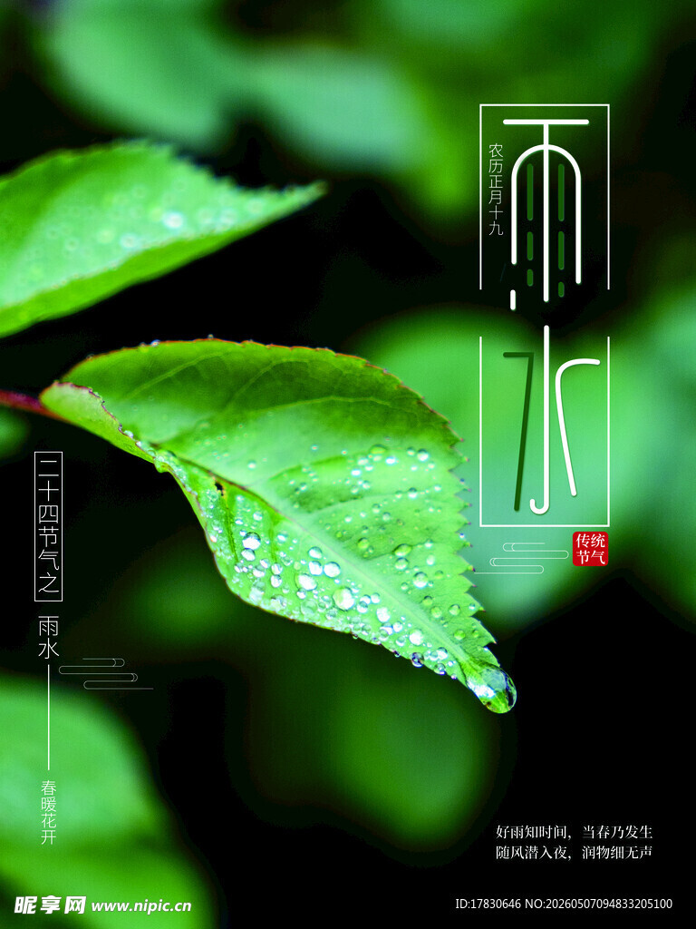 雨水海报
