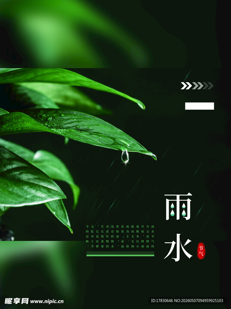 雨水海报