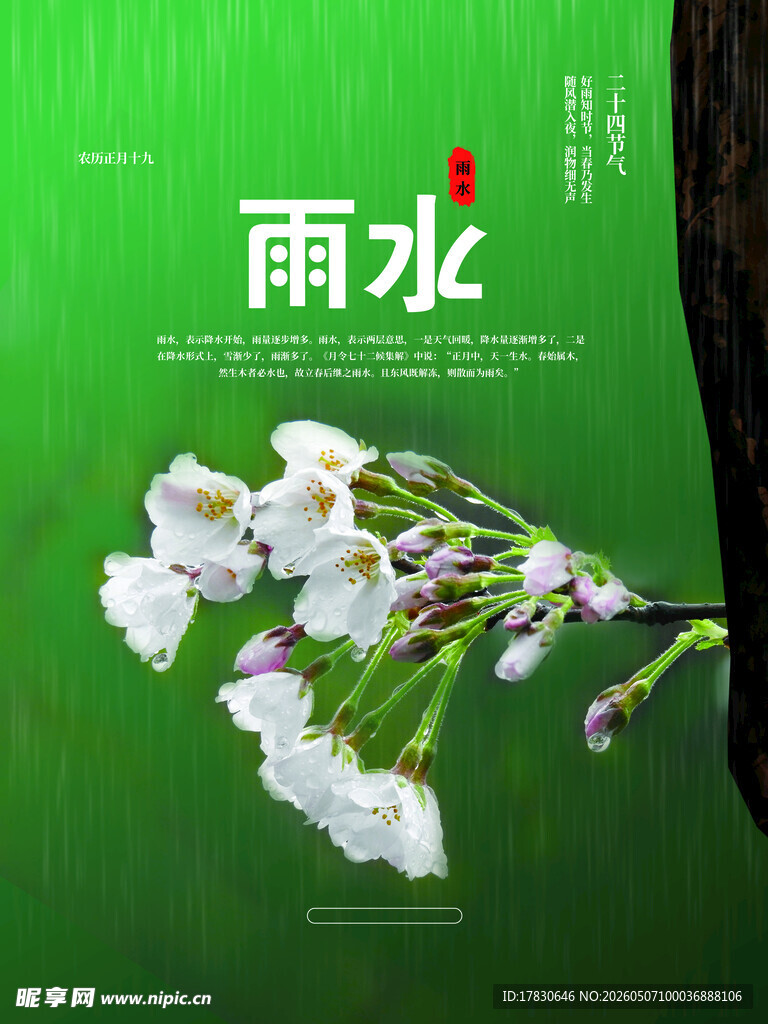 雨水海报