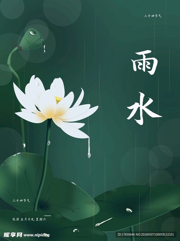 雨水海报