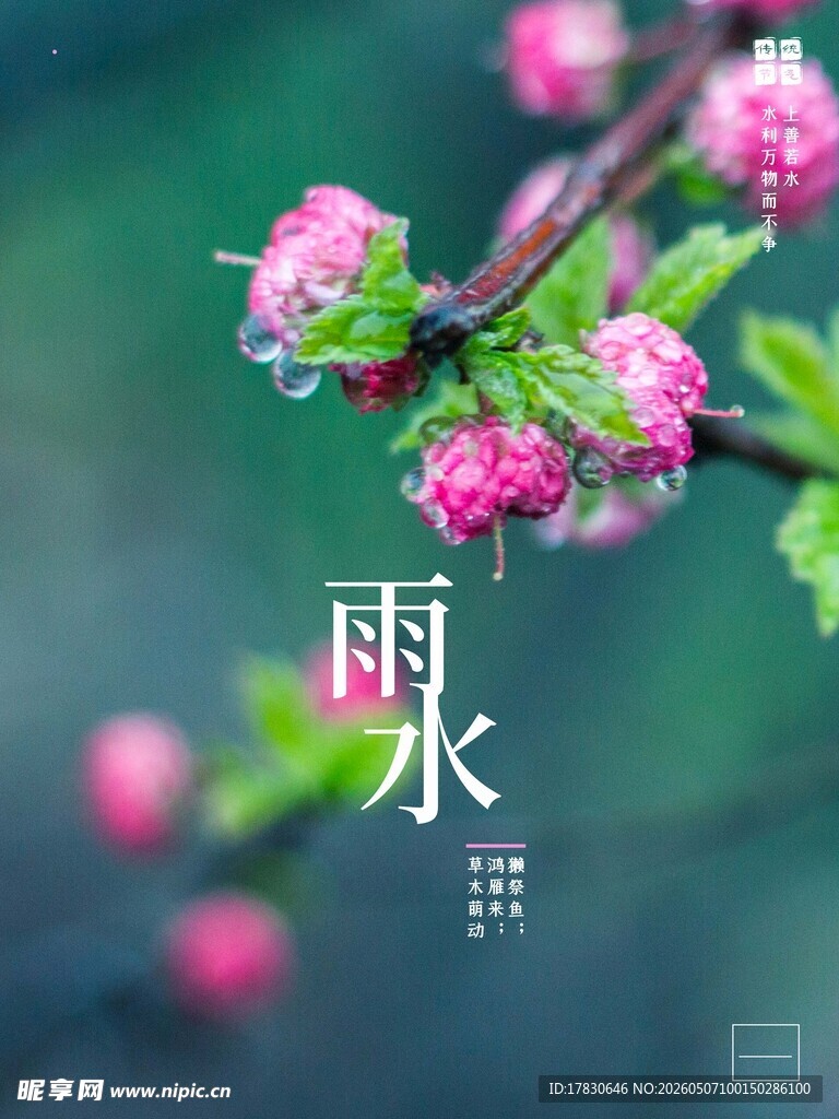 雨水海报