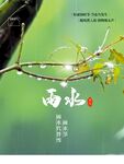 雨水海报