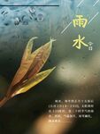雨水海报