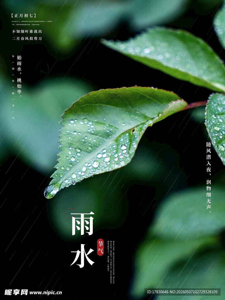 雨水海报