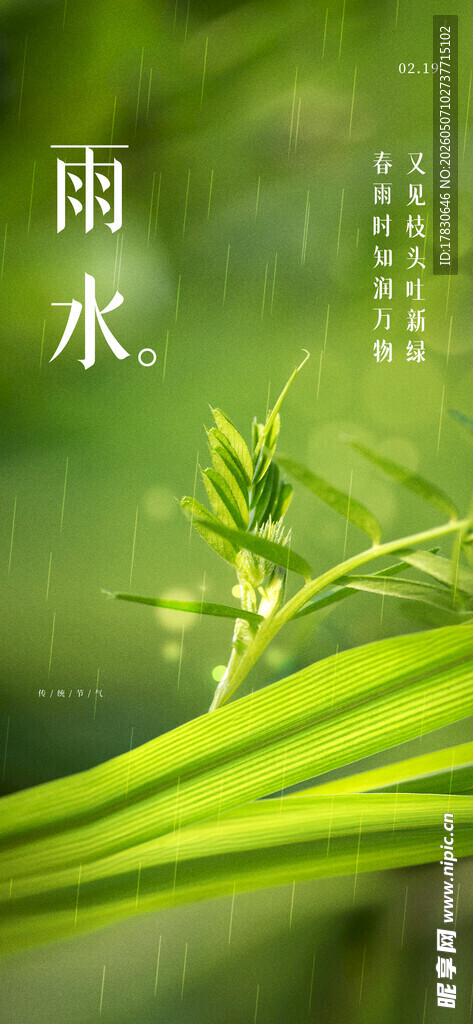 雨水海报