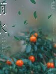 雨水海报