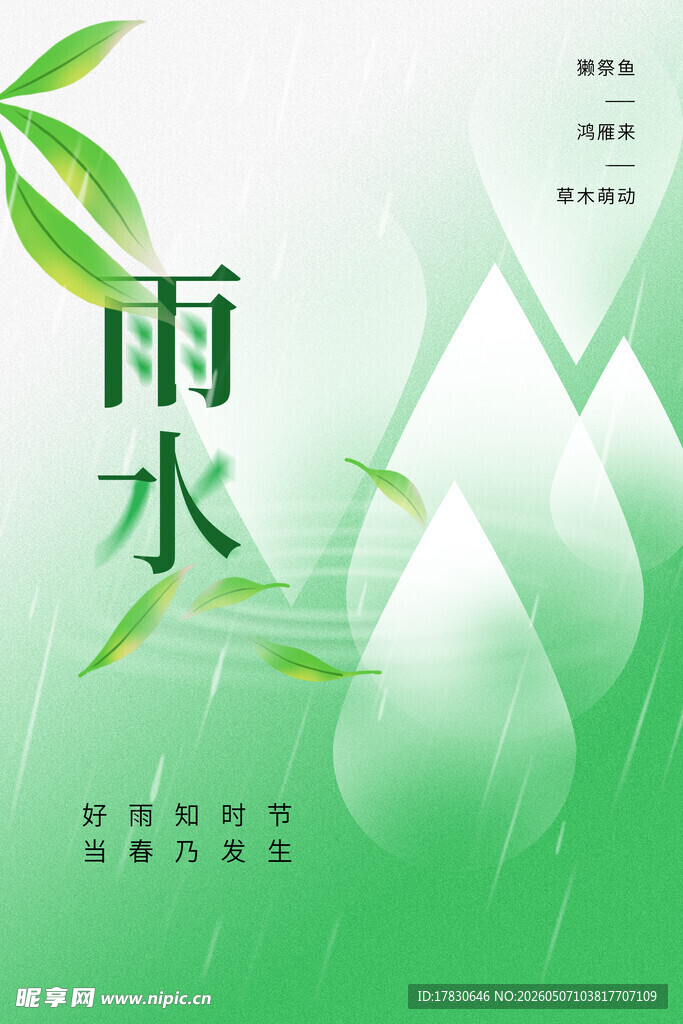 雨水海报