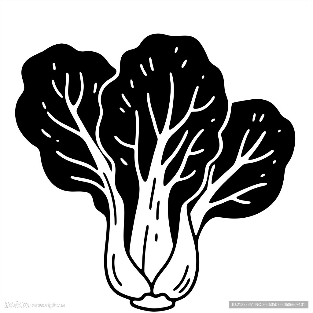 黑白简笔白菜图案