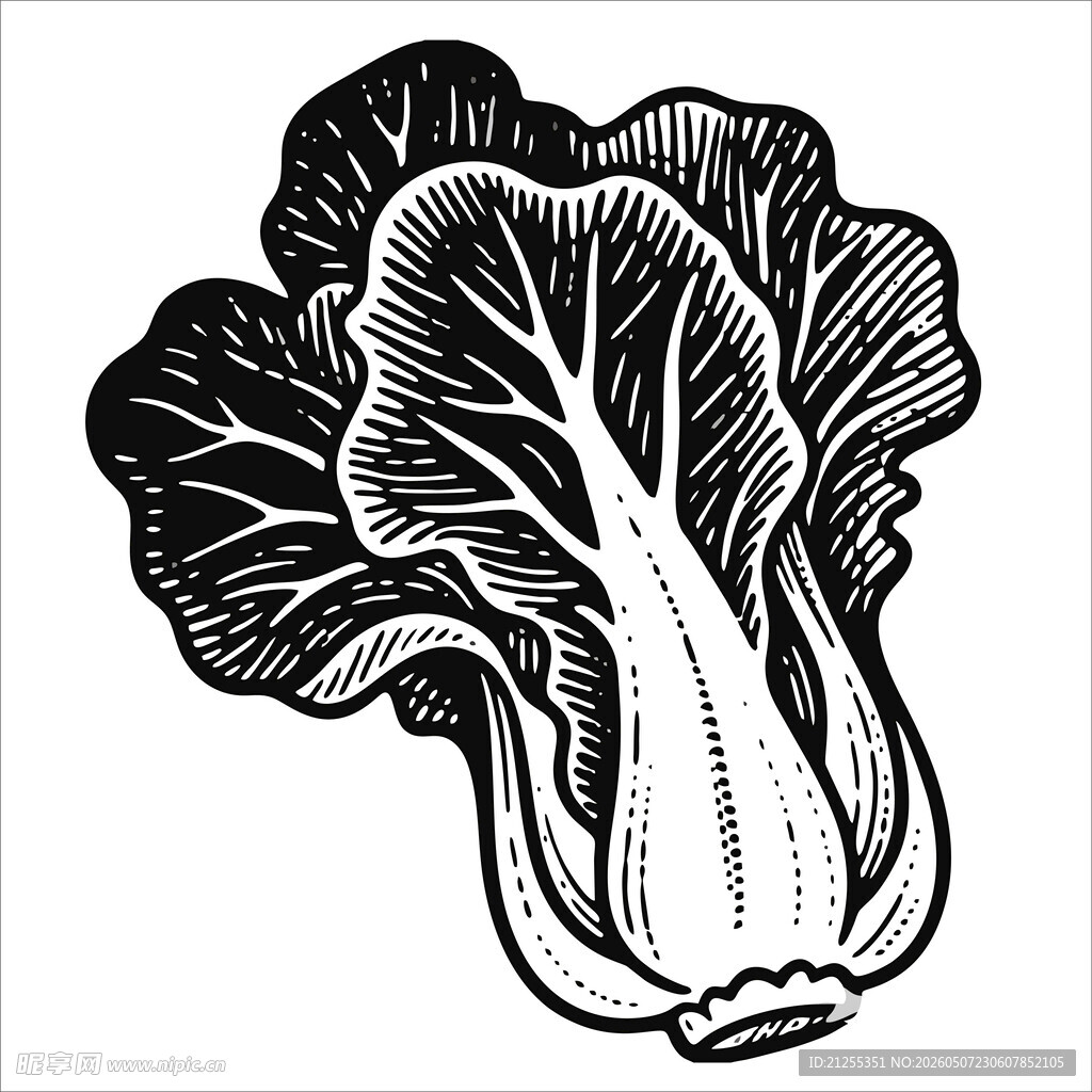 黑白白菜图案