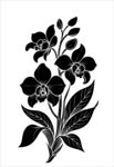黑白花卉图案设计