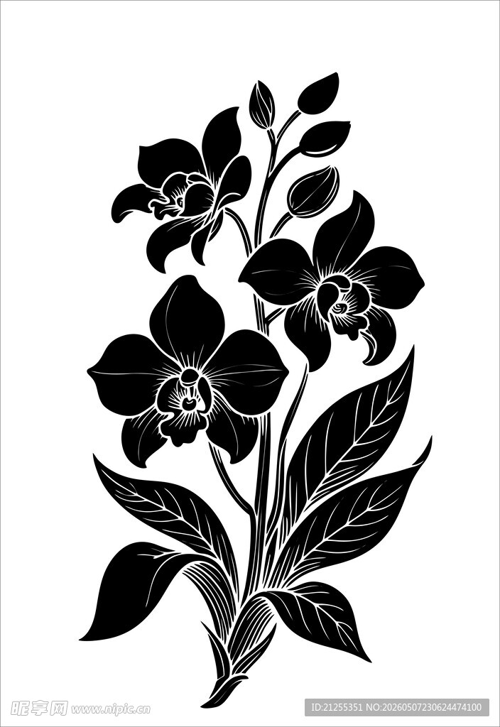 黑白花卉图案设计