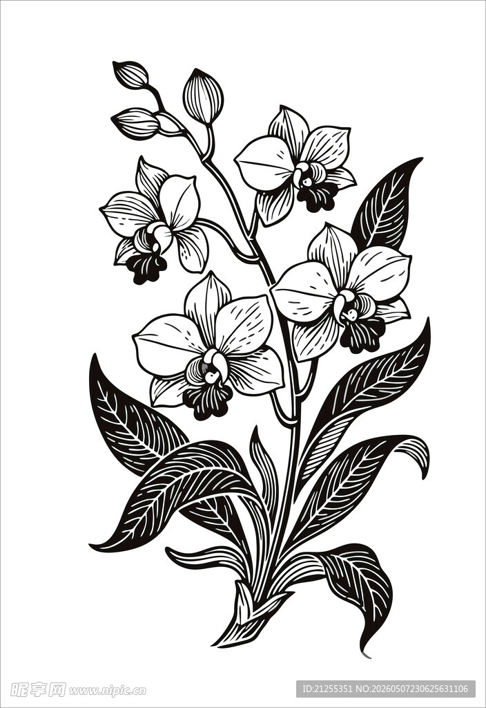 手绘兰花花卉图案
