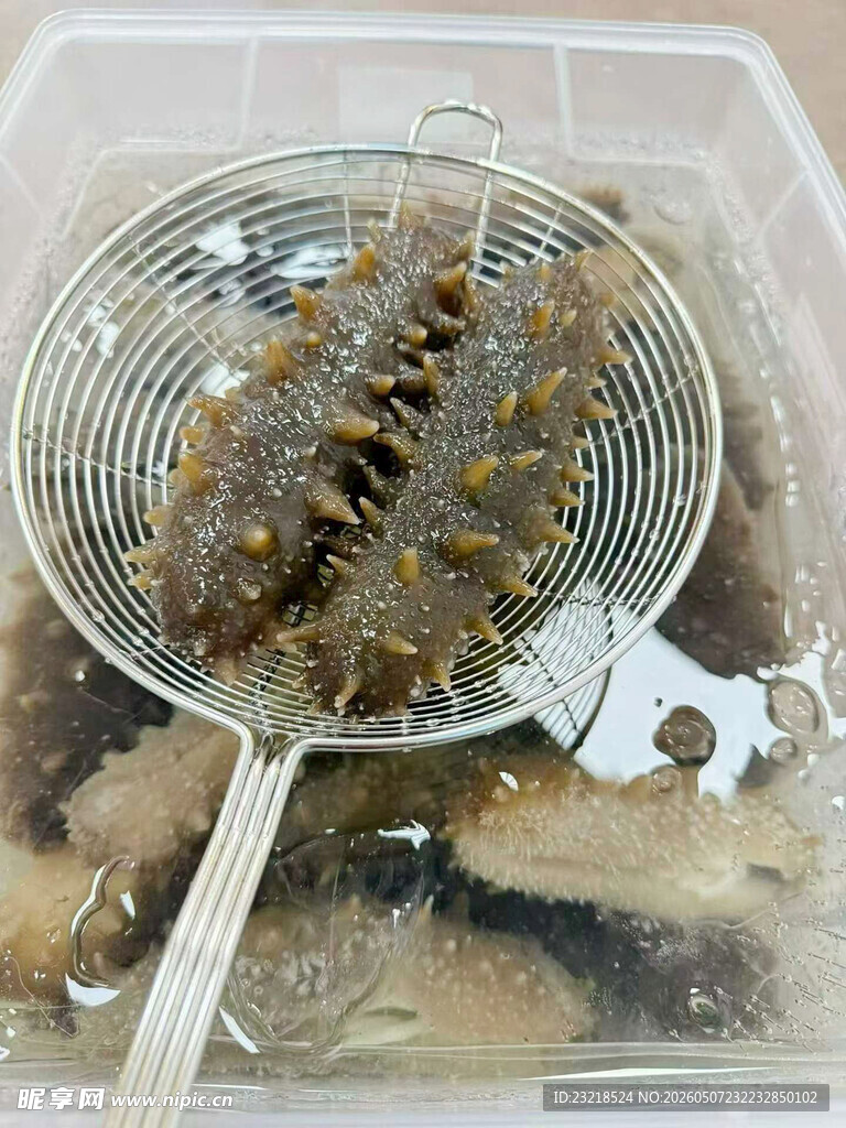 海参