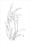 手绘线条勾勒的精美花卉