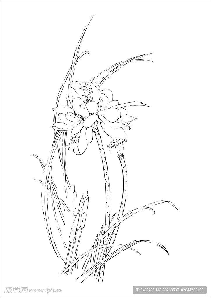手绘线条勾勒的精美花卉