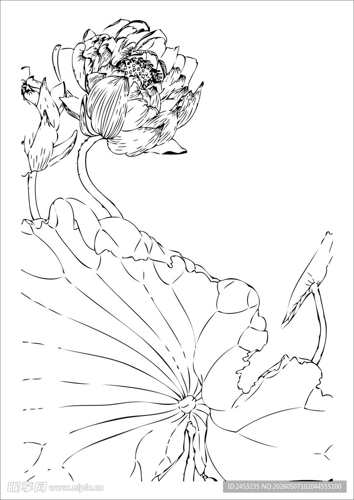 荷花莲花人物动态线条图