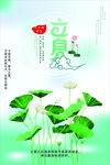 立夏时节荷花绽放图景