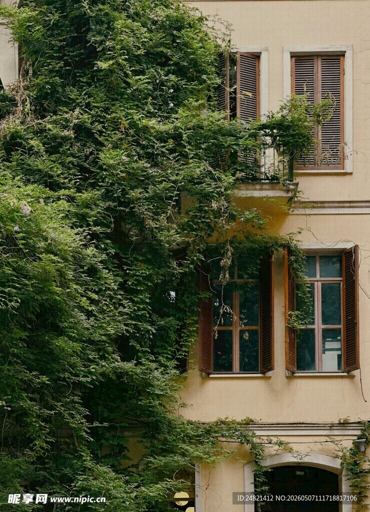 绿植环绕的雅致建筑