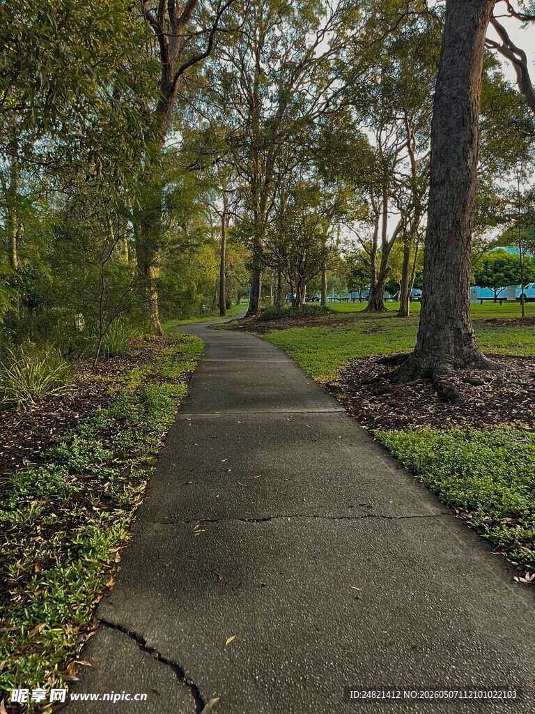 林间幽静小路